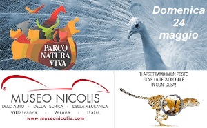 Museo Nicolis & zoo Safari 2